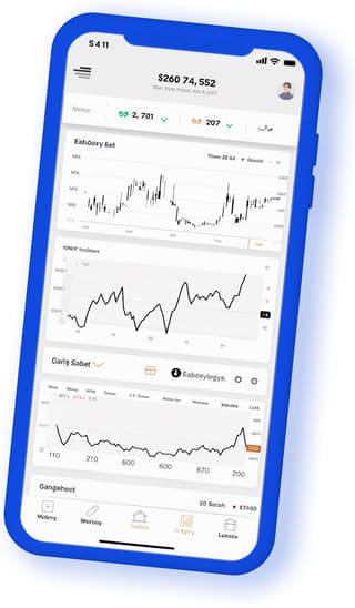 Meridian Kapithal digital web application on mobile device
